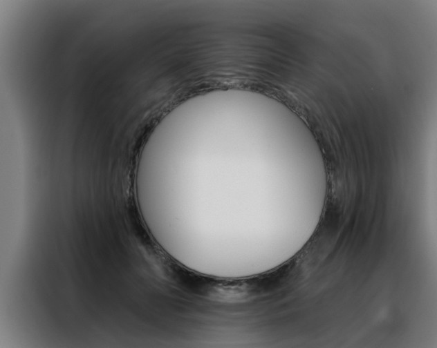 X0000088390606200705220802