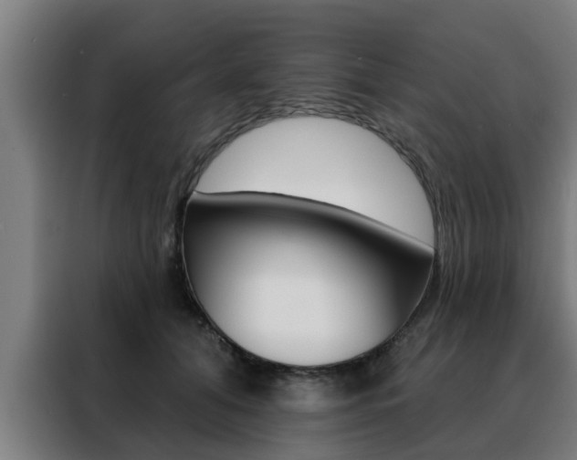 X0000088390608200705220802
