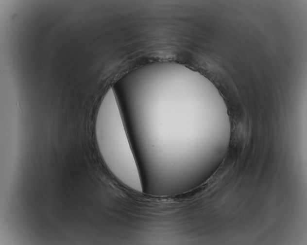 X0000088390609200705220802