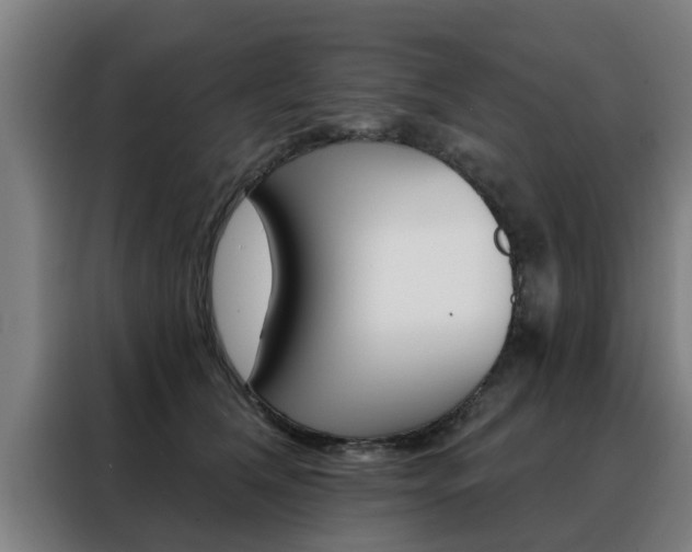 X0000088390612200705220802