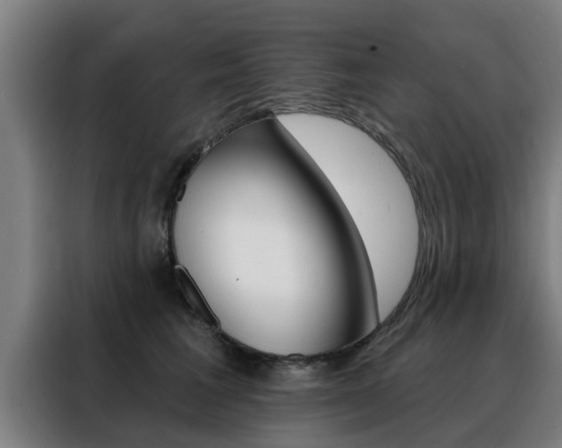 X0000088390613200705220802