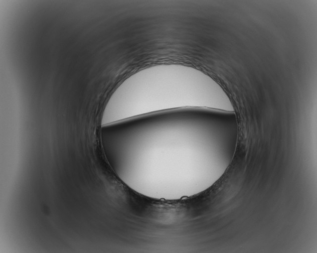 X0000088390615200705220802