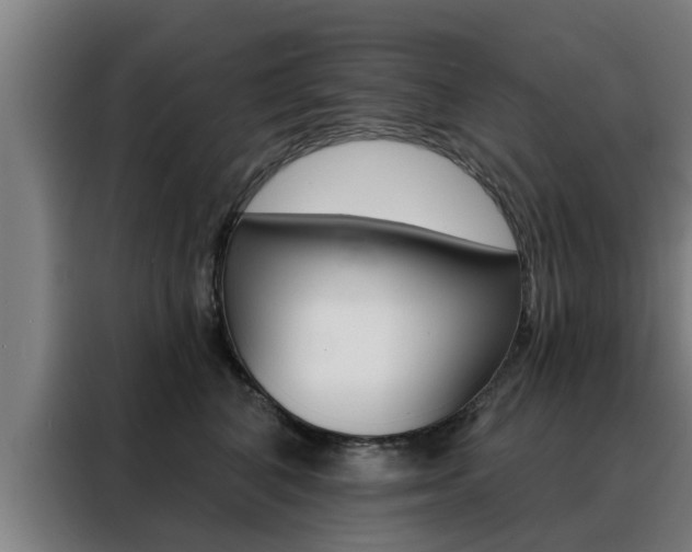 X0000088390616200705220802