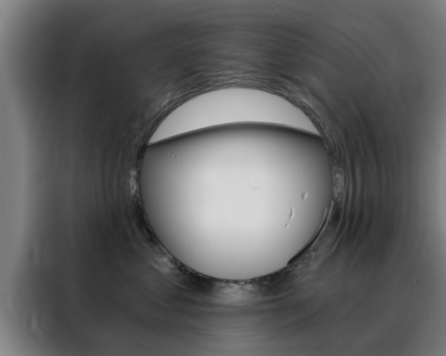 X0000088390621200705220802