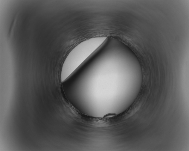 X0000088390624200705220802