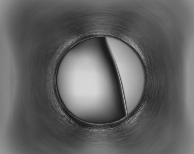 X0000088390625200705220801
