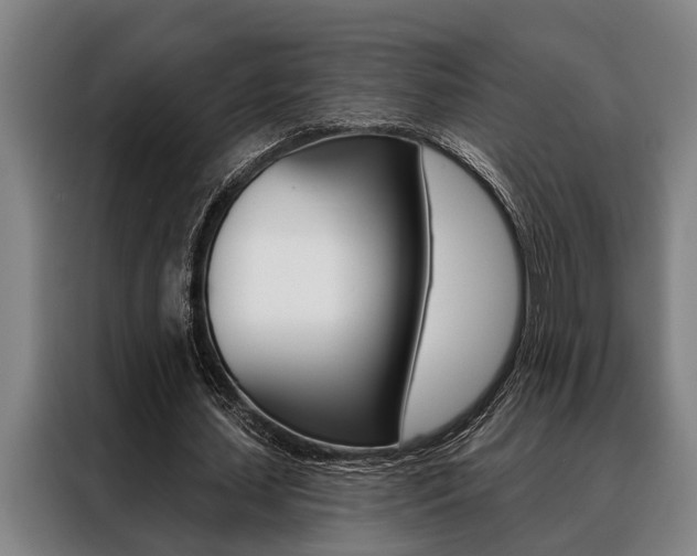X0000088390627200705220801