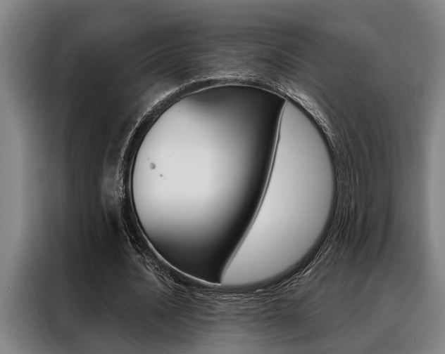X0000088390628200705220801