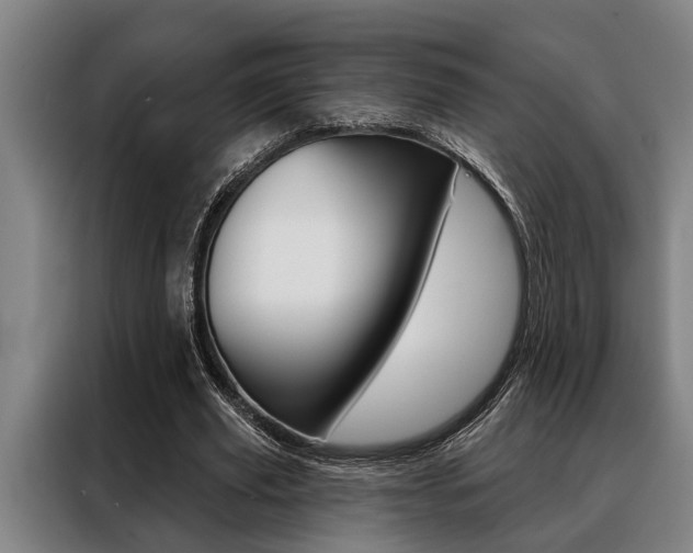 X0000088390629200705220801