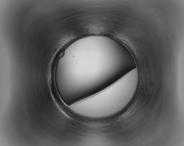 X0000088390630200705220801