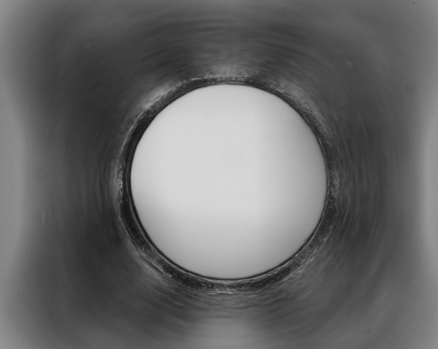 X0000088390632200705220802