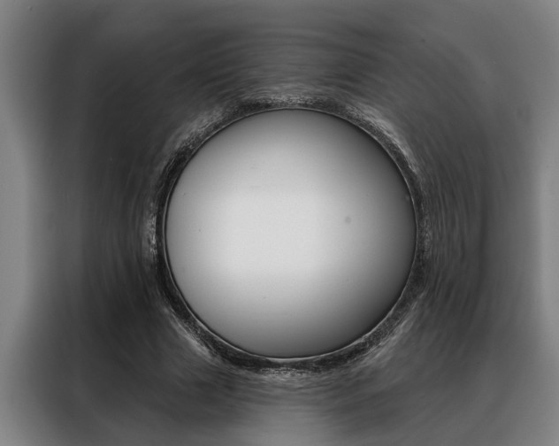 X0000088390633200705220802