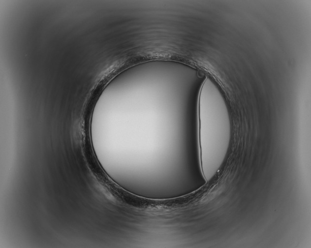 X0000088390634200705220802