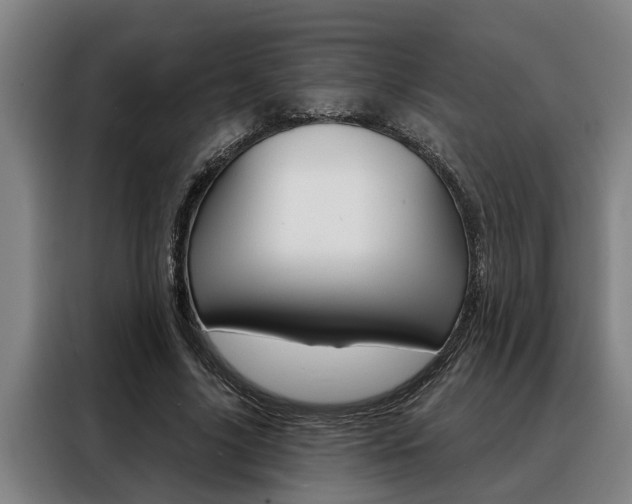 X0000088390635200705220802