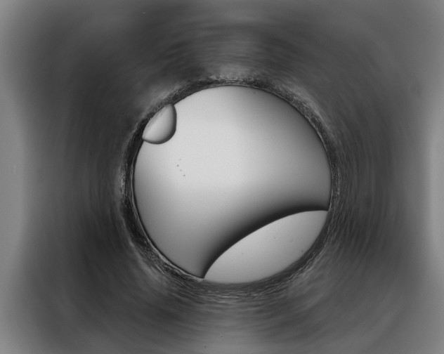 X0000088390636200705220802