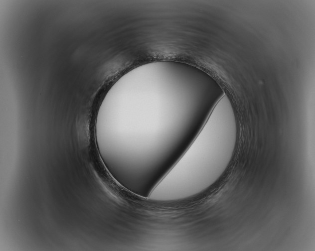 X0000088390638200705220802
