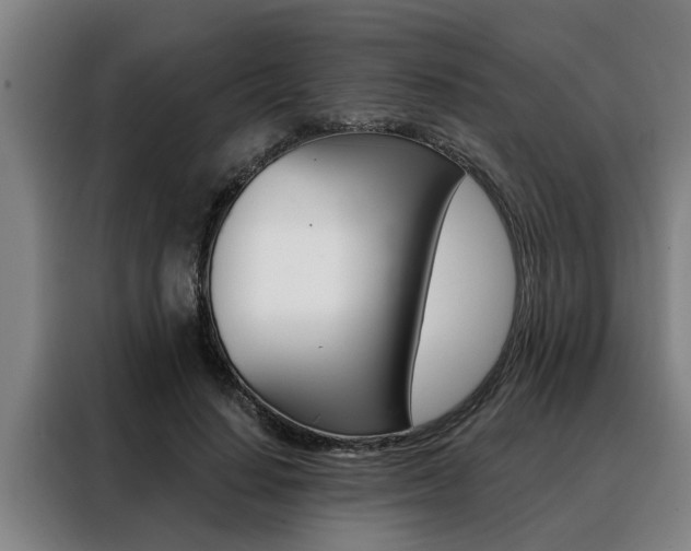 X0000088390644200705220802