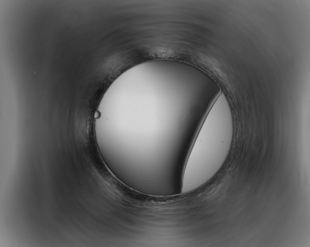 X0000088390645200705220802