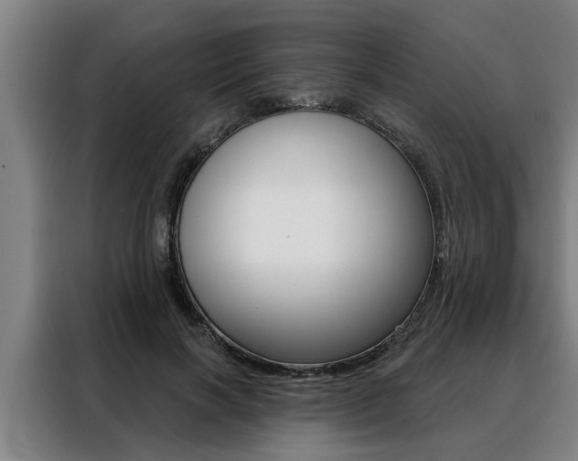 X0000088390646200705220802