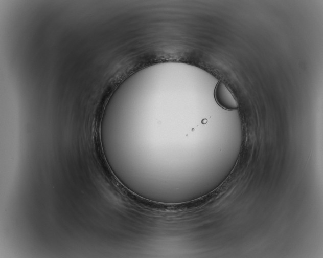 X0000088390647200705220802