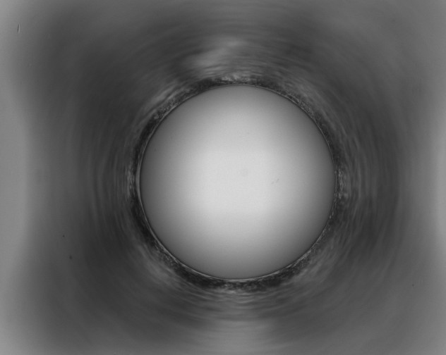 X0000088390648200705220802