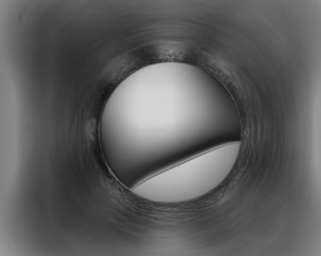 X0000088390649200705220802