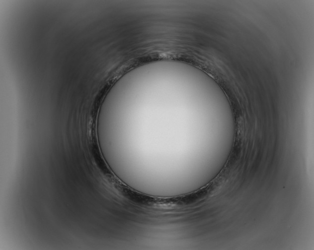 X0000088390650200705220802