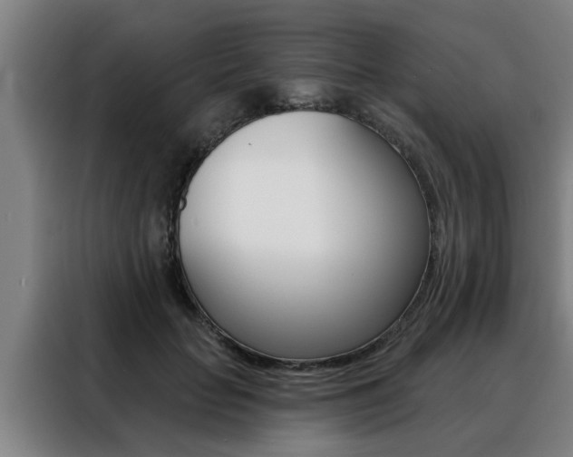X0000088390653200705220802