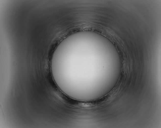 X0000088390654200705220802