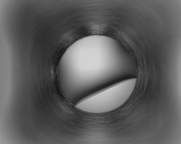 X0000088390655200705220802