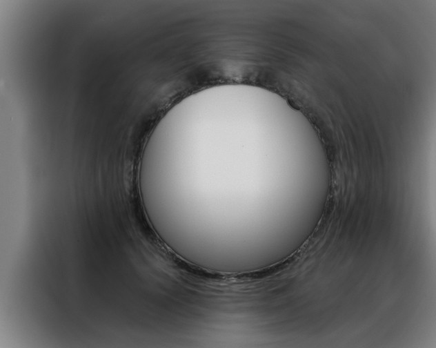 X0000088390656200705220802