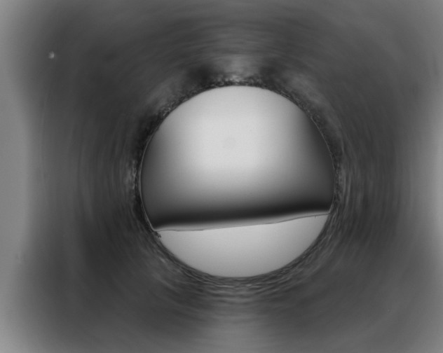 X0000088390657200705220802