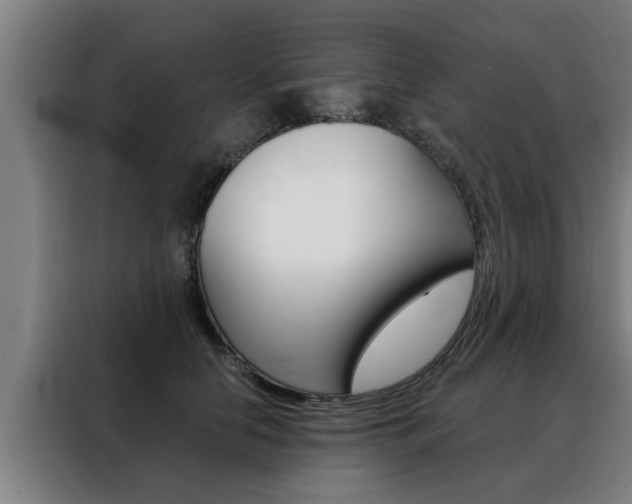 X0000088390658200705220802