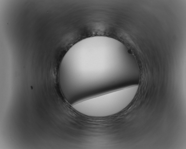 X0000088390661200705220802