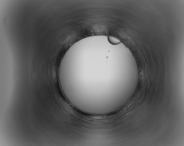 X0000088390662200705220802
