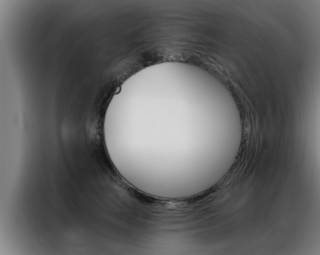 X0000088390663200705220802