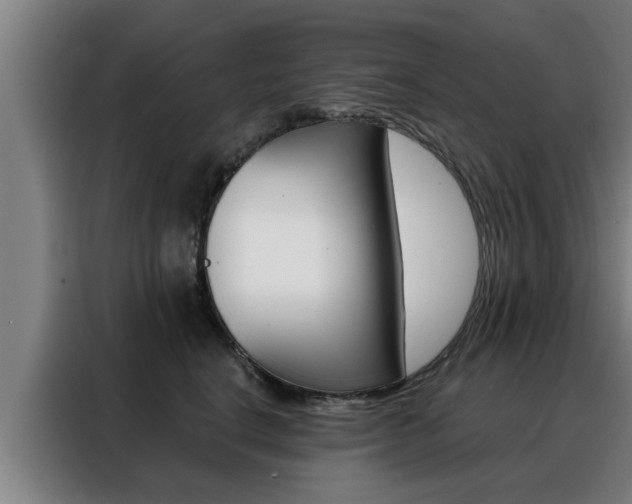 X0000088390664200705220802