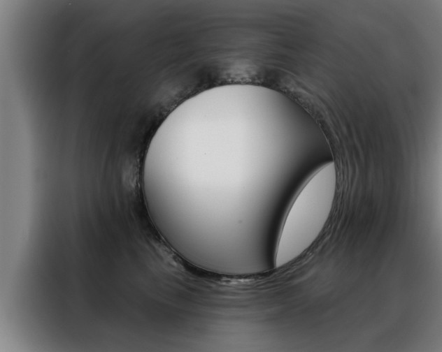 X0000088390665200705220802