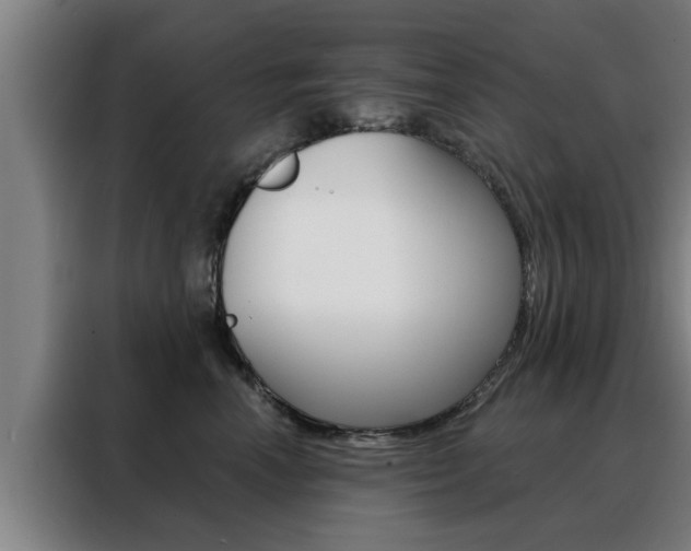 X0000088390666200705220802