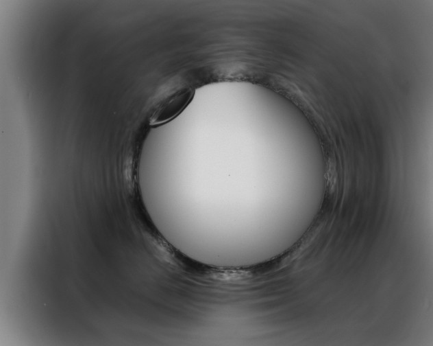 X0000088390670200705220802