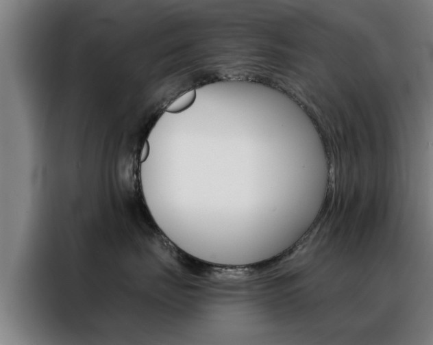 X0000088390671200705220802