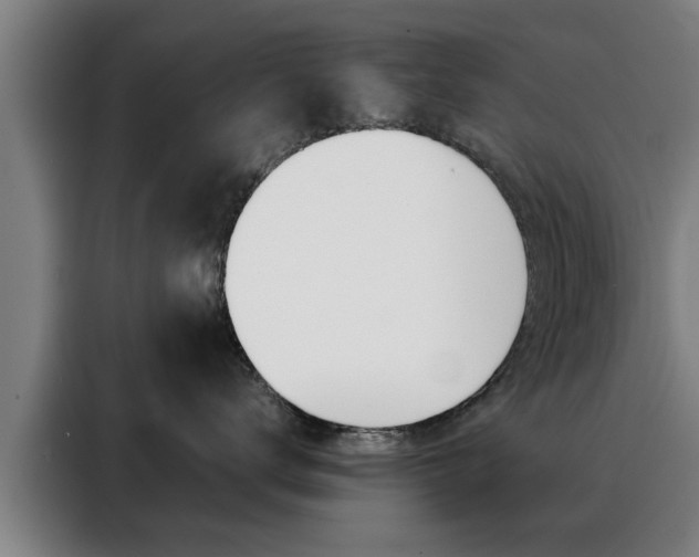 X0000088390672200705220802