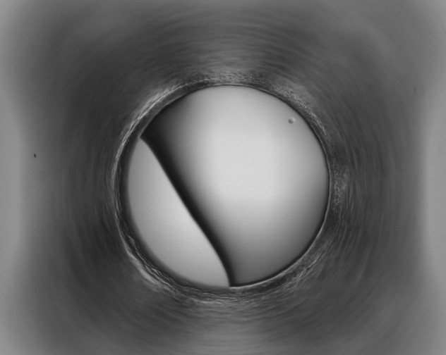 X0000088390674200705220801