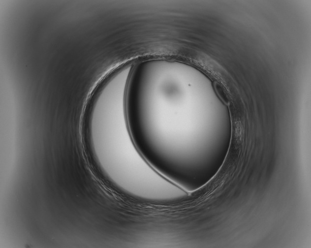 X0000088390676200705220801