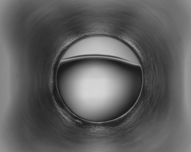 X0000088390677200705220801