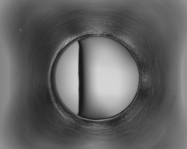 X0000088390678200705220801
