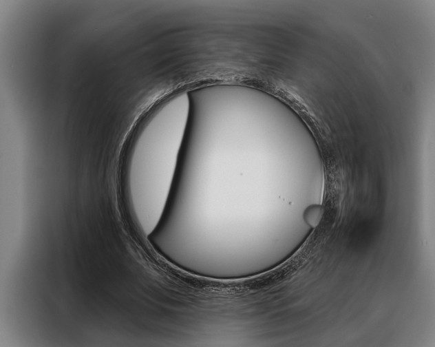 X0000088390679200705220801