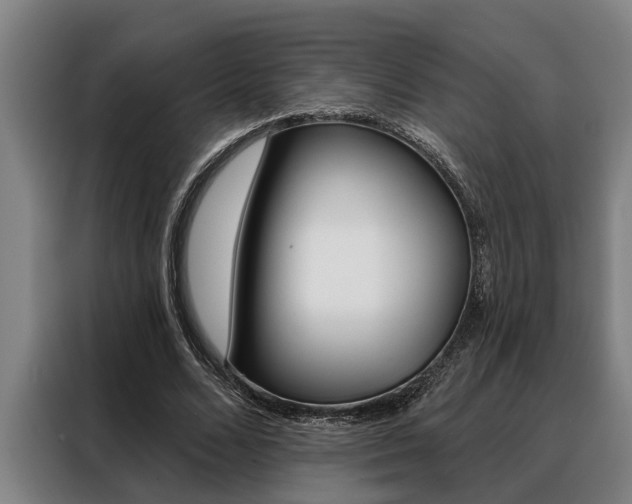 X0000088390680200705220801