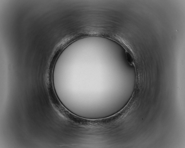X0000088390682200705220801