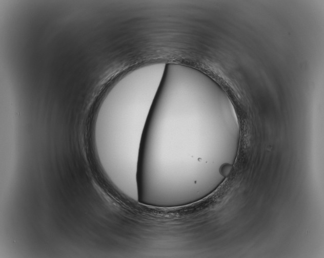 X0000088390683200705220801